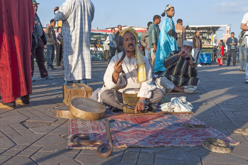 du lịch maroc - thiên đường djemma el fna năng động bậc nhất maroc