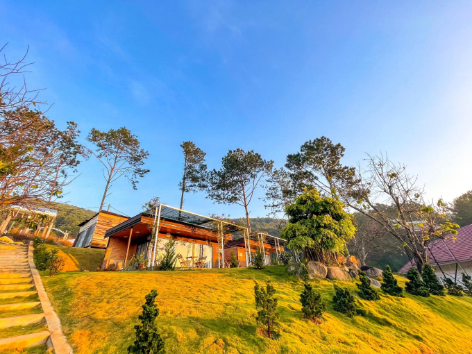 Homestay Da Lat is romantic and luxurious, with an outdoor cinema