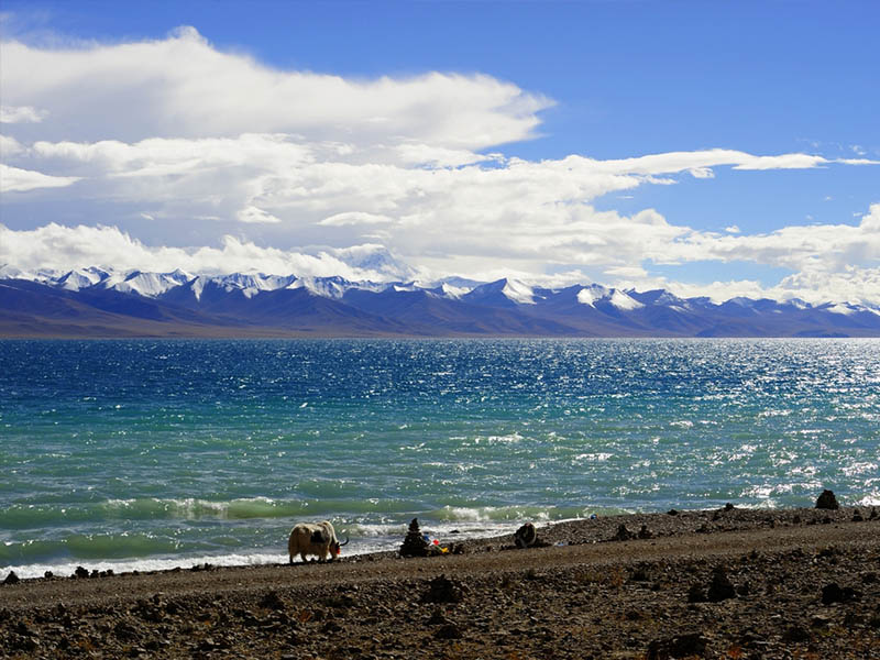 những địa điểm nhất định phải đến khi du lịch tây tạng