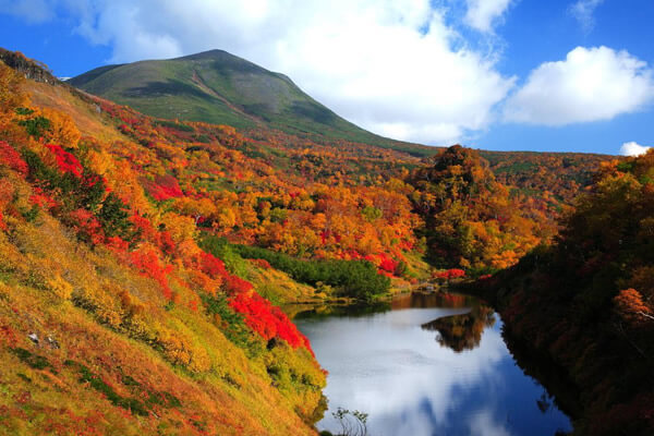 Chiêm ngưỡng Hokkaido vào Thu - nơi đẹp nhất Nhật Bản