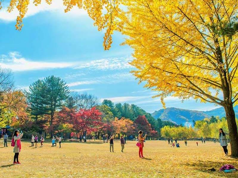 Trải nghiệm thiên đường lãng mạn với cảnh sắc Hàn Quốc vào Thu