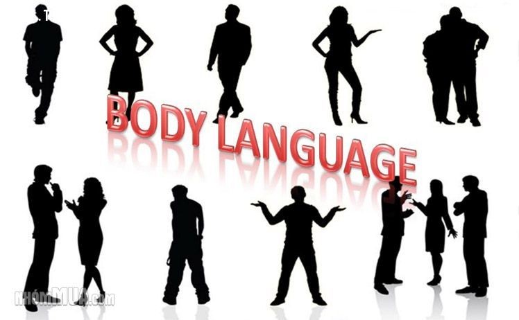 10 cuốn sách về ngôn ngữ cơ thể hay nhất để áp dụng ngay