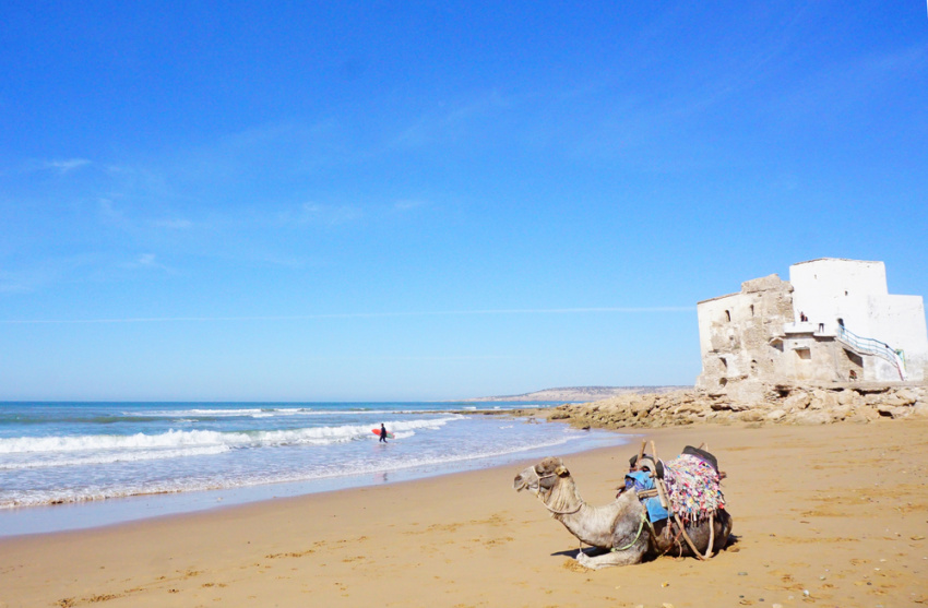 top 10 bãi biển tuyệt vời nhất khi du lịch maroc