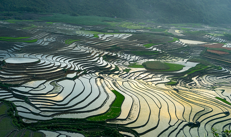 Hình ảnh tuyệt đẹp ruộng bậc thang Yên Bái mùa cấy lúa