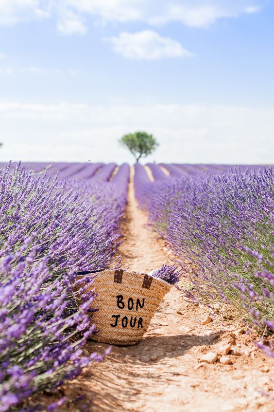 Provence, the beautiful “postcard” of the South of France
