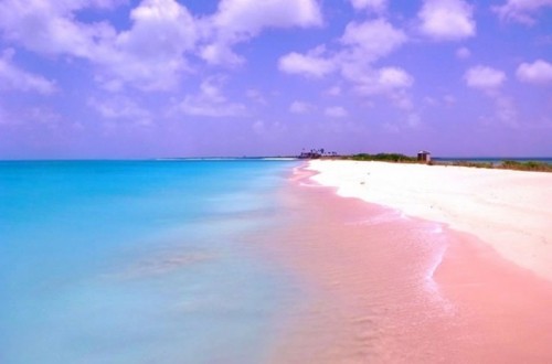10 bãi biển màu hồng đẹp nhất trên thế giới