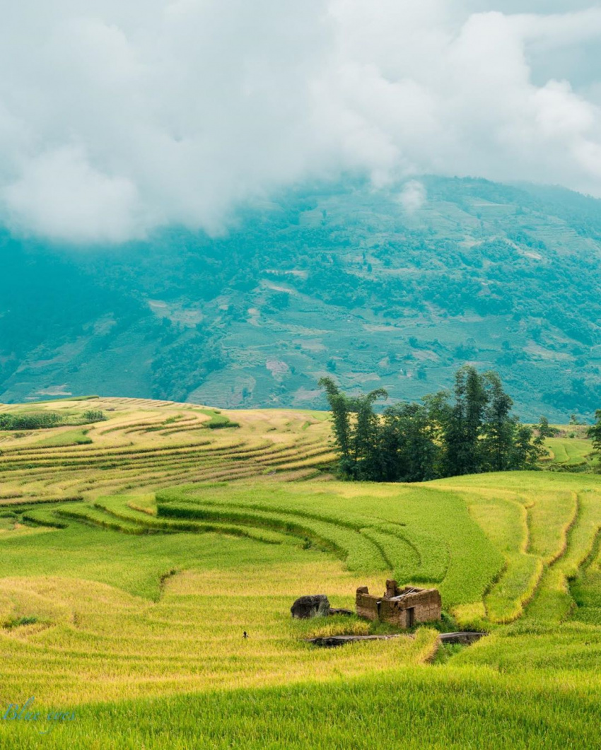 sapa, 5 activities you must experience when coming to sapa for a memorable trip