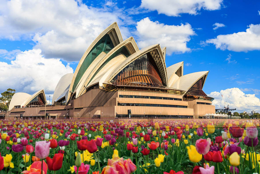 Du lịch Úc: Hành trình khám phá lễ hội hoa Floriade mùa Xuân nước Úc