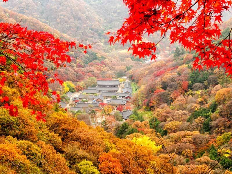 Nên mặc gì phù hợp khi du lịch Hàn Quốc vào mùa Thu?