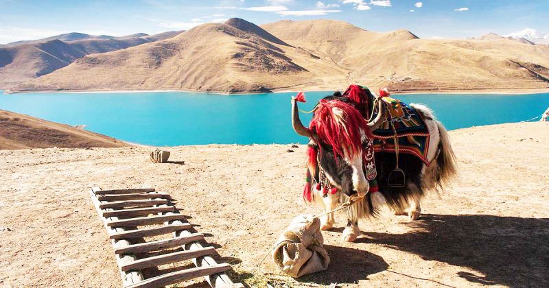 du lịch tây tạng mùa thu– khám phá vùng đất huyền bí từ cõi phật
