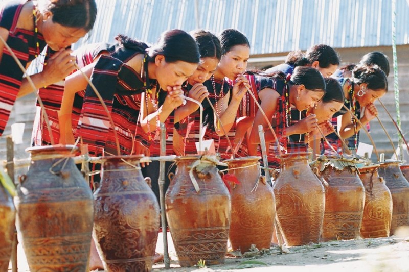 12 Thương hiệu rượu truyền thống giá trị nhất ở Việt Nam