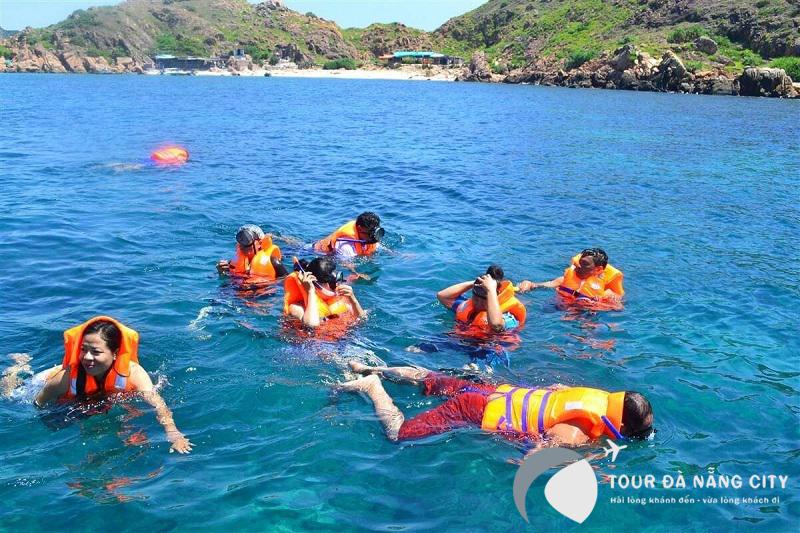 cham island tourism, cinnamon tea village, cu lao cham, hoi an, hoi an tourism, seven-acre coconut forest, 3 interesting tourist attractions that both westerners and vietnamese tourists love in hoi an