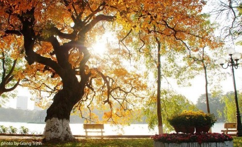 7 lý do để yêu mùa thu hà nội