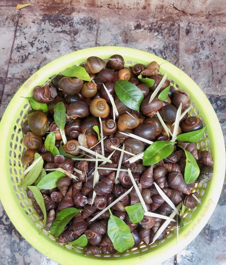cooking recipe, hanoi winter, make snail dipping sauce, smart cooking tips, winter food, the recipe for boiling snails and making snail dipping sauce is standard and delicious as in the store