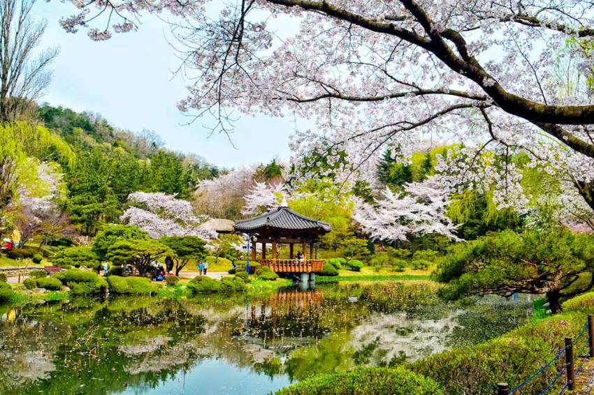 Đi du lịch Hàn Quốc mùa nào đẹp nhất ?