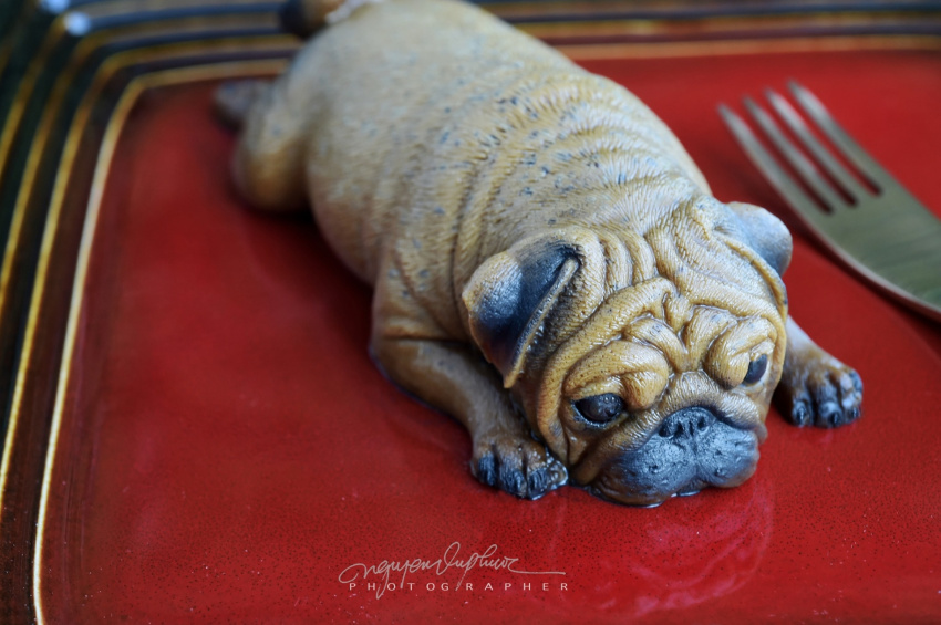 Mom is skillful at making cakes too much like a real dog, daughter… refuses to eat