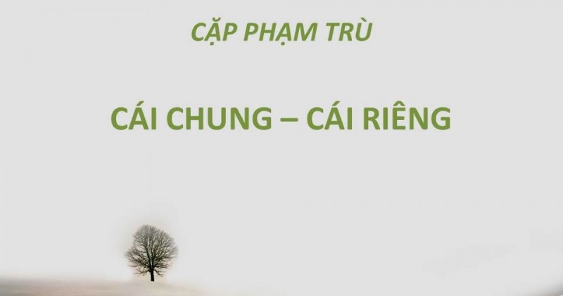 5 câu hỏi thường gặp nhất của môn tâm lý học đại cương