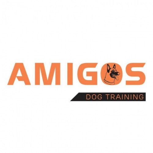 7 trung tâm huấn luyện chó uy tín và chuyên nghiệp nhất Việt Nam