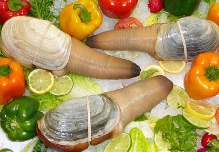 5 thực phẩm bổ dưỡng và đắt đỏ nhất Việt Nam