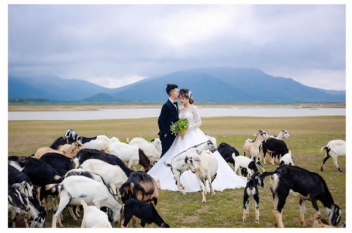 6 studio chụp ảnh cưới đẹp nhất tại gia lai