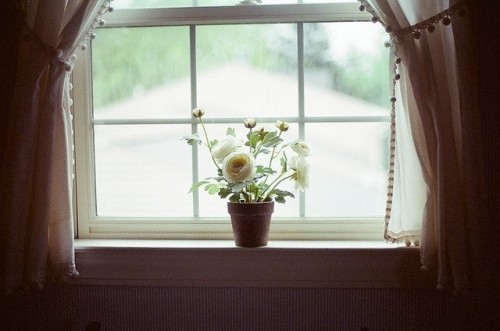 6 điều bạn sẽ cảm nhận được khi nhìn mọi thứ qua ô cửa sổ