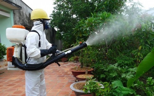 9 dịch vụ diệt muỗi tại nhà tốt nhất tại Tp HCM