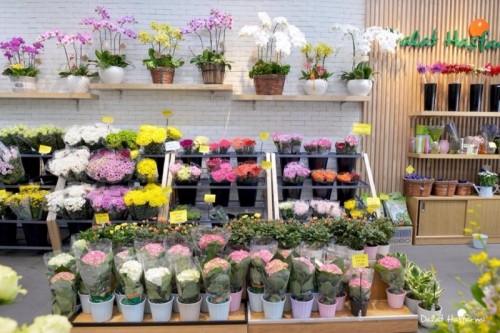 9 shop hoa tươi đẹp, chất lượng nhất tại đà lạt