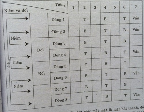 5 bài văn thuyết minh về thể thơ thất ngôn bát cú đường luật hay nhất.