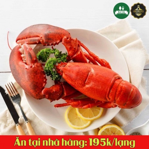 3 địa chỉ bán tôm hùm alaska uy tín, chất lượng nhất hải phòng