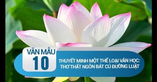 5 bài văn thuyết minh về thể thơ em yêu thích nhất