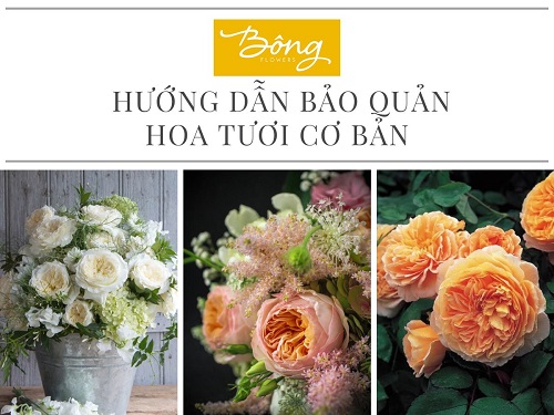 top 6 tiệm hoa hà nội đẹp nhất để trao chọn những bông hoa đẹp đến người thân