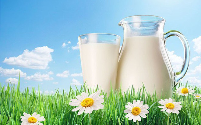 12 lợi ích của việc uống sữa