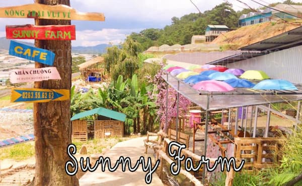Sunny Farm – muôn vàn góc sống ảo cho giới trẻ