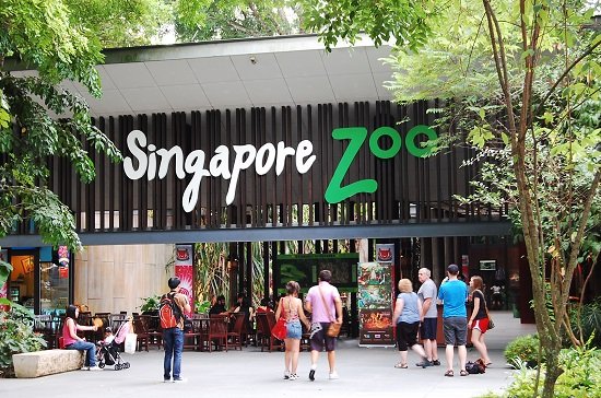 Sở thú Singapore có gì hấp dẫn du khách?
