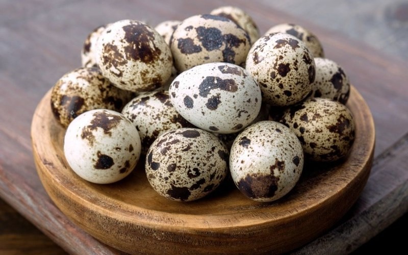10 tác dụng tuyệt vời khi ăn nhiều trứng cút