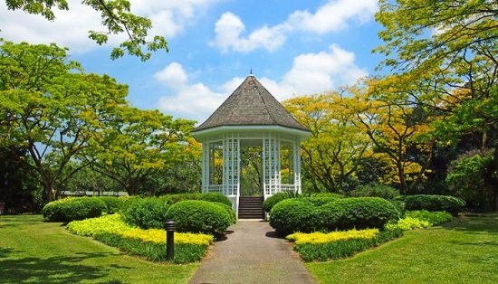 Khám phá vườn bách thảo Botanic Garden ở Singapore