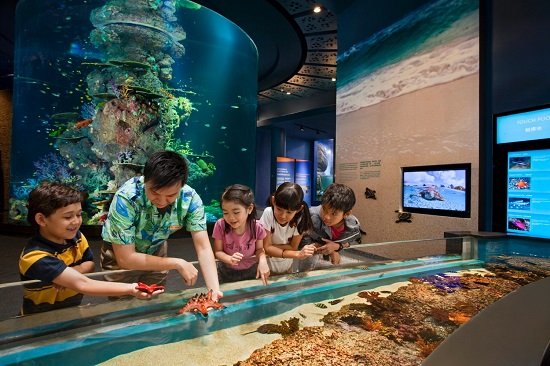 lạc lối giữa thủy cung ở singapore – s.e.a aquarium