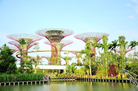 Khu vườn Garden by the Bay – điểm tham quan độc đáo ở Singapore