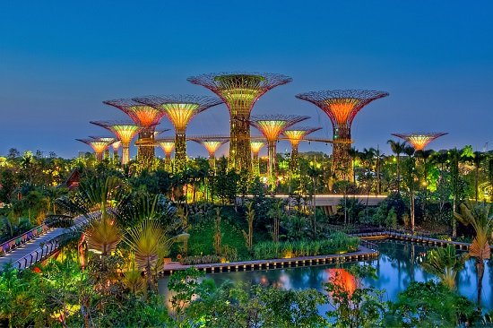 khu vườn garden by the bay – điểm tham quan độc đáo ở singapore