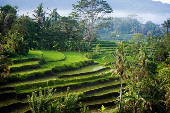 Những điểm đến có không gian yên bình ở Bali