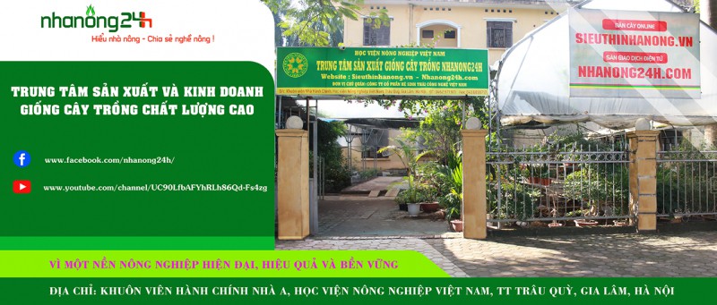 9 công ty cung cấp hạt giống uy tín và chất lượng nhất ở Việt Nam