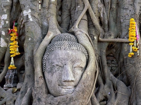 khám phá chùa wat mahathat ở cố đô ayutthaya