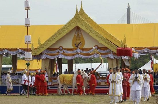 Lễ hội Cày ruộng Hoàng gia ở Thái Lan