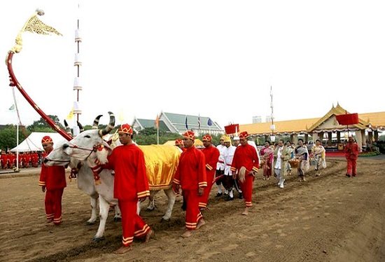 lễ hội cày ruộng hoàng gia ở thái lan