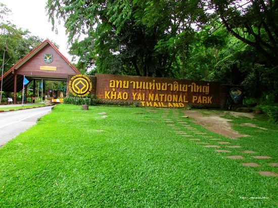 Ghé thăm công viên quốc gia Khao Yai ở Thái Lan