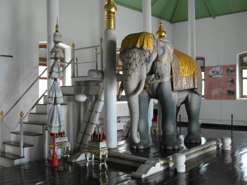 Khám phá Bảo tàng voi Hoàng gia ở Bangkok Thái Lan