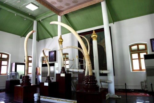 khám phá bảo tàng voi hoàng gia ở bangkok thái lan