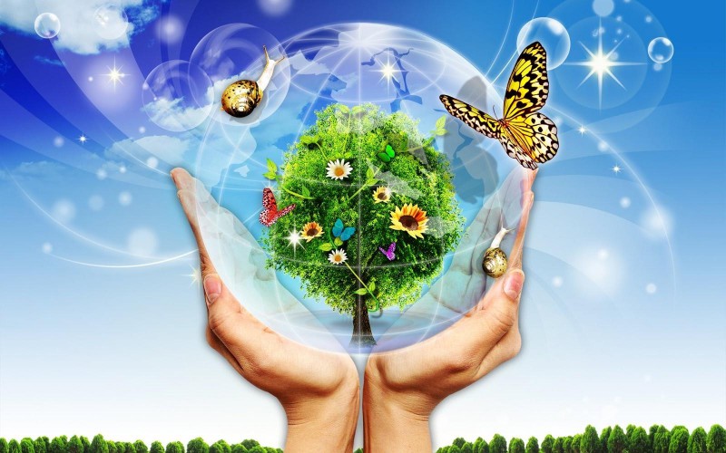 7 bài văn chứng minh bảo vệ môi trường là bảo vệ cuộc sống của chúng ta (lớp 7) hay nhất