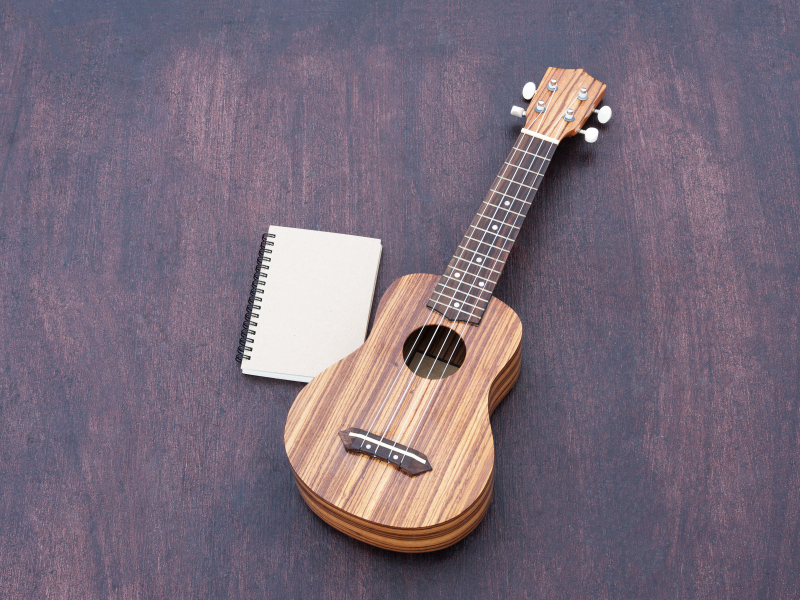6 cách chọn mua đàn ukulele âm thanh, chất lượng tốt, uy tín nhất