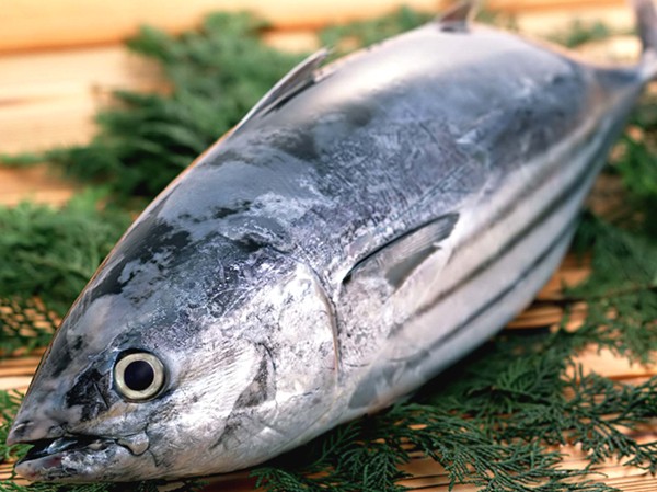 10 loài cá ngon của việt nam khiến nhiều người thích mê